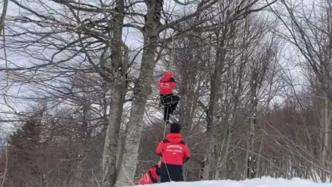 Paraşütle düşen vatandaş ağacın tepesinde mahsur kaldı
