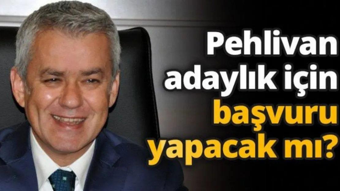 Pehlivan adaylık için başvuru yapacak mı?