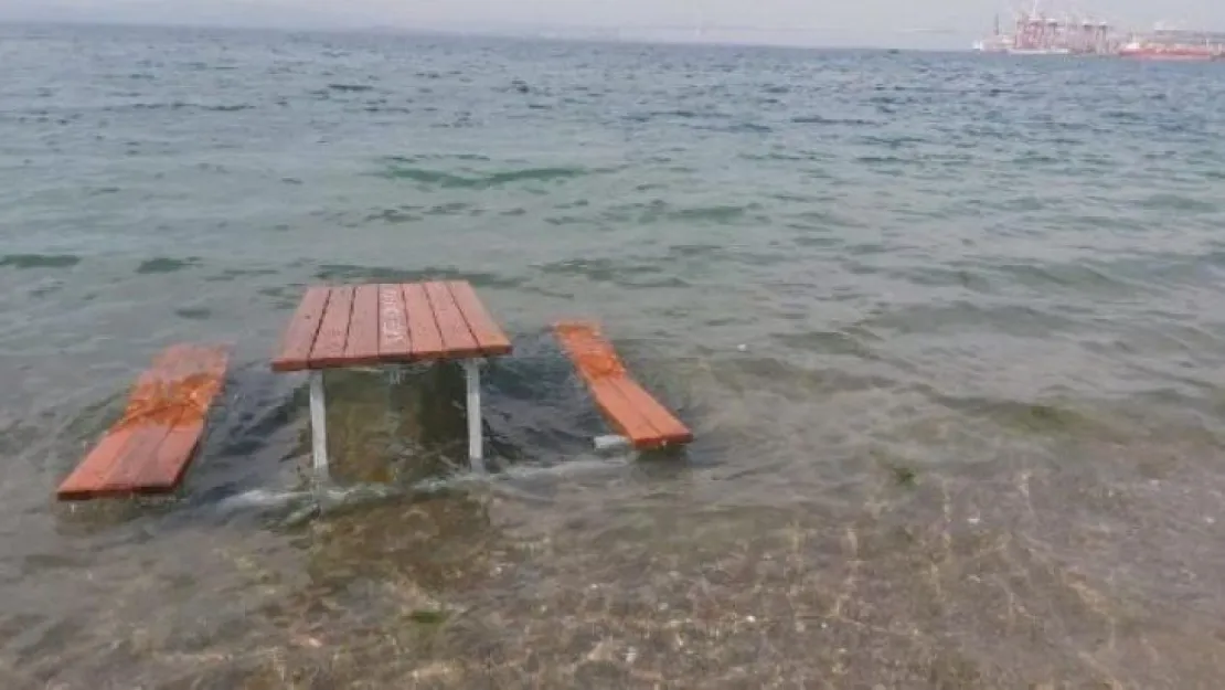Piknik masasını bakın ne için kullanmışlar?