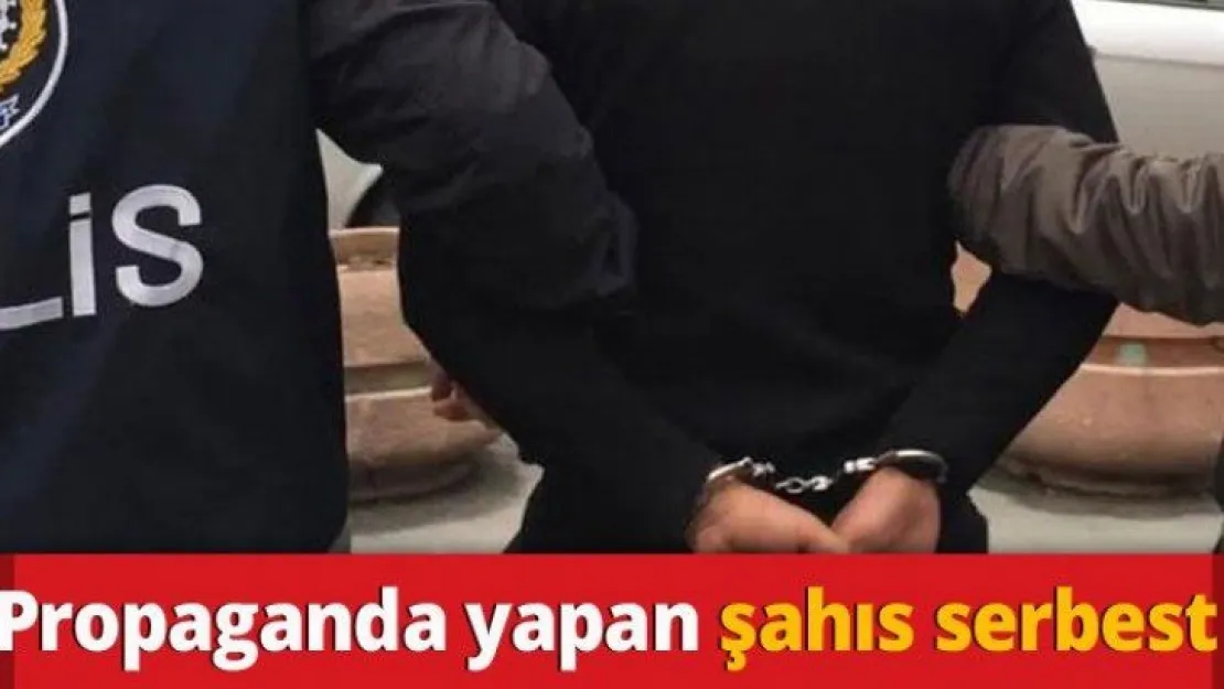 Propaganda yapan şahıs serbest