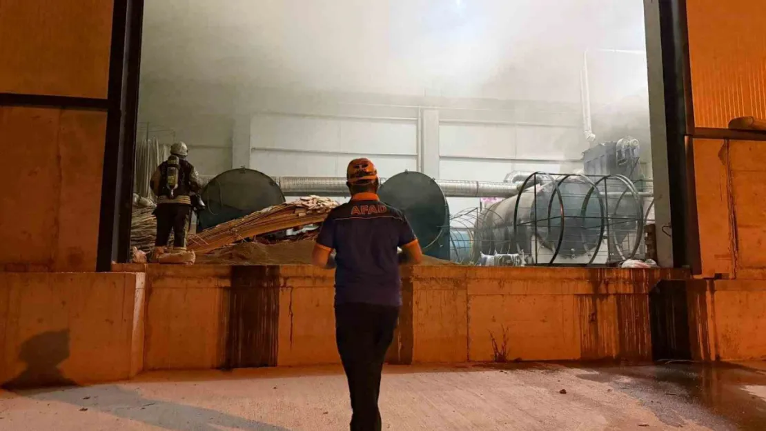 Ruhsatsız kömür tesisinde yangın çıktı