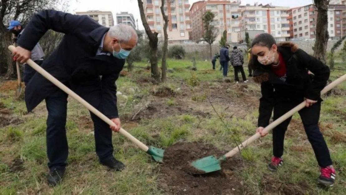 Sağlık çalışanları için fidan dikildi