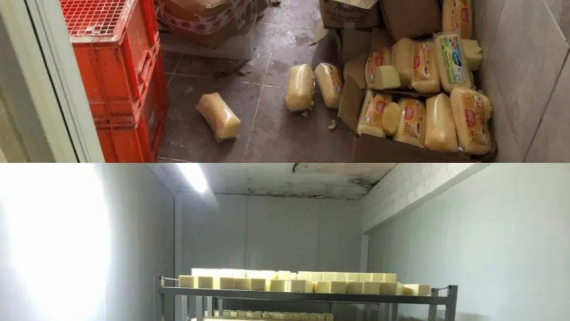 Sakarya'da 1,5 milyonluk sahte kaşar peyniri operasyonu