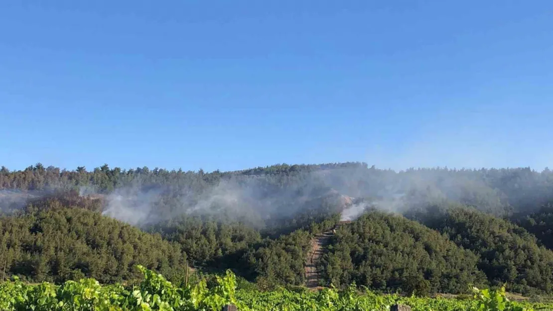 Sakarya'da yangına havadan ve karadan müdahale