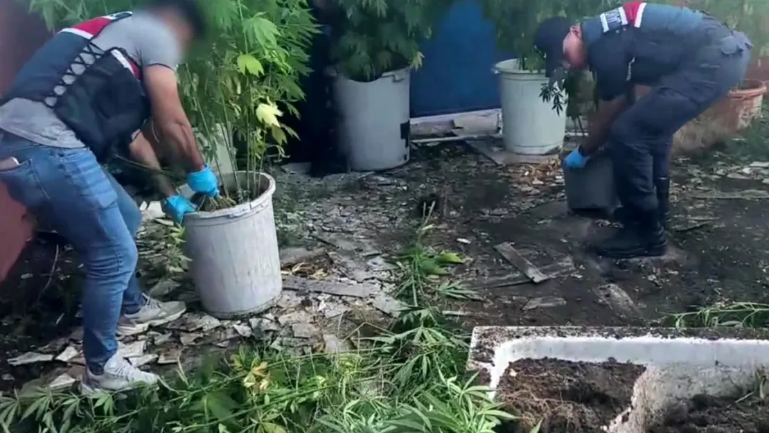 Sakarya'da uyuşturucu operasyonu: 1 tutuklama