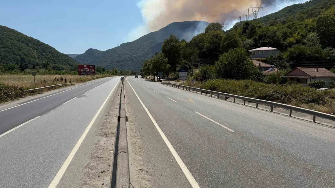 Yangın nedeniyle Bilecik istikametine yol kapatıldı, bazı evler tahliye edildi