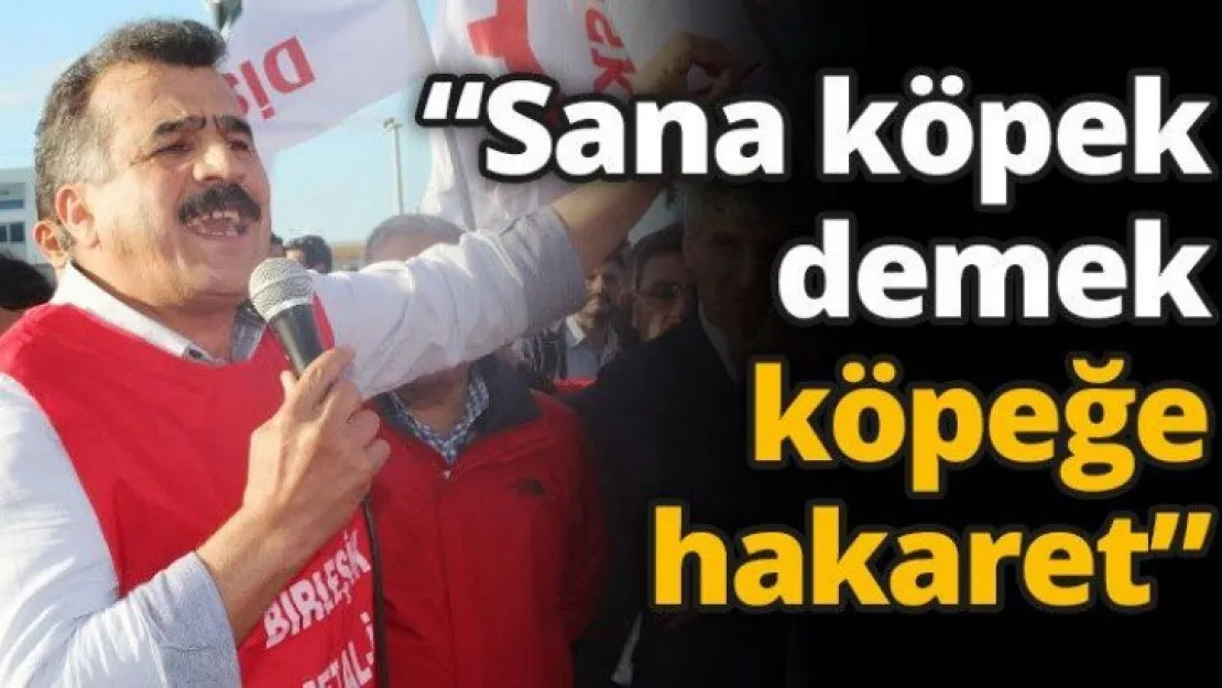 'Sana köpek demek köpeğe hakaret'