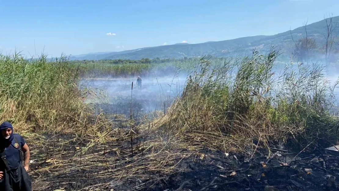 Sapanca Gölü'ndeki sazlık alanda yangın çıktı
