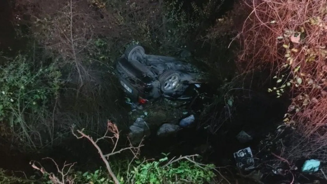 Şarampole uçan otomobilin sürücüsü hayatını kaybetti 