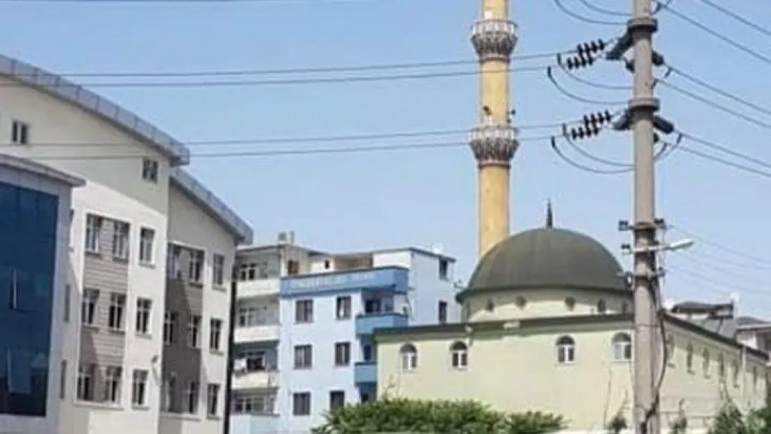 Sarıcami projesi bir varmış bir yokmuş