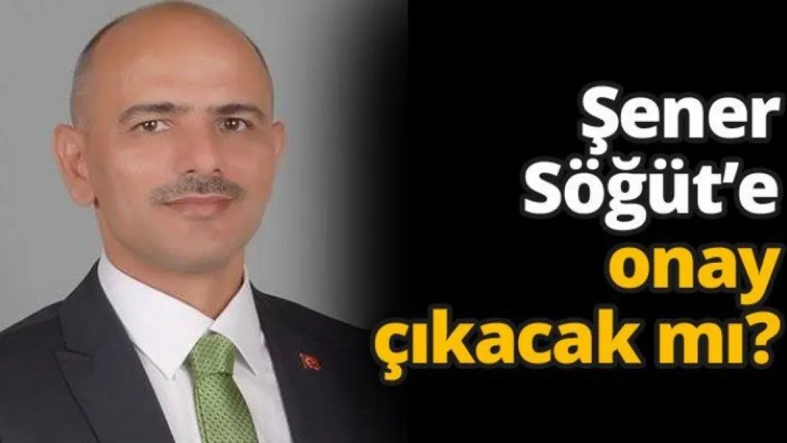 Şener Söğüt'e onay çıkacak mı?