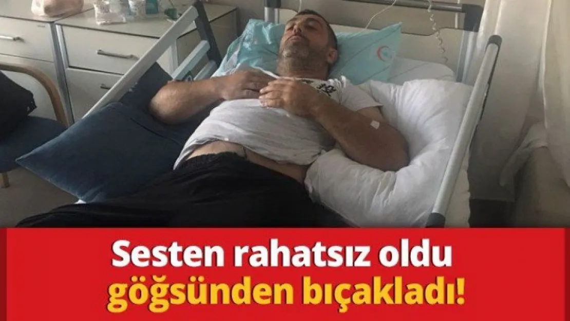 Sesten rahatsız oldu göğsünden bıçakladı!