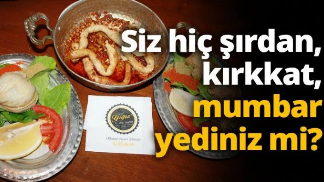 Siz hiç şırdan, kırkkat, mumbar yediniz mi?