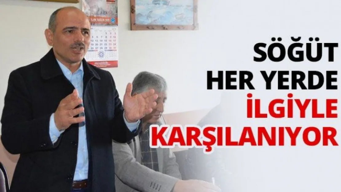 Söğüt Her Yerde İlgiyle Karşılanıyor