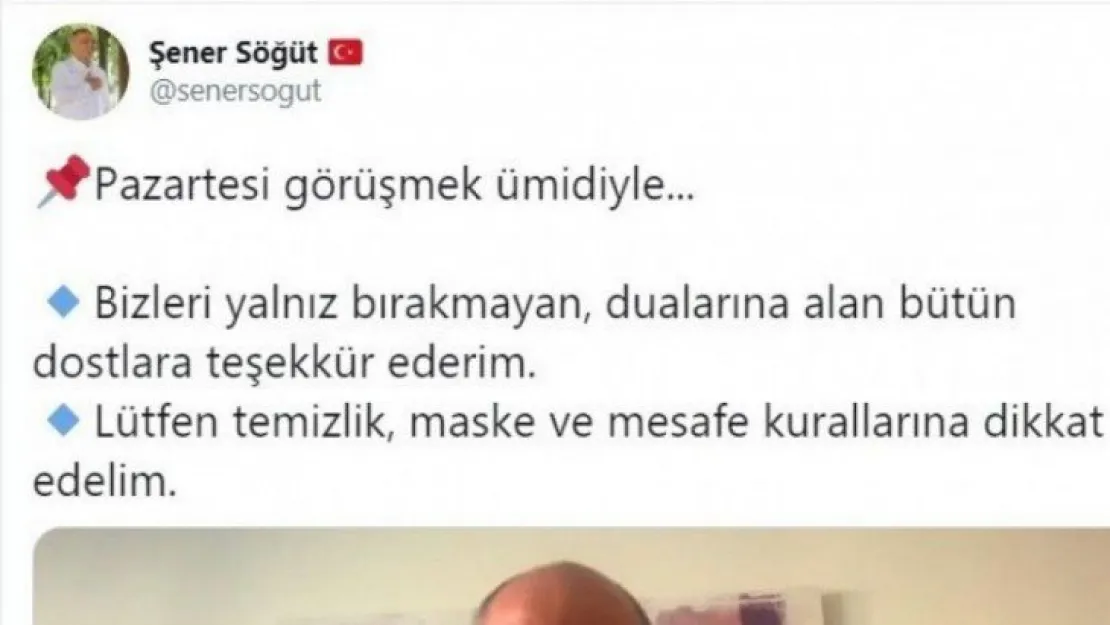 Söğüt Pazartesi görevine dönüyor!