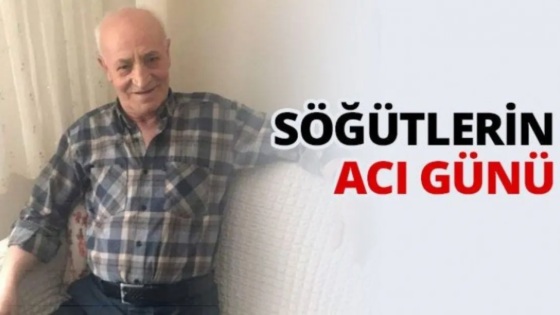 Söğütlerin acı günü