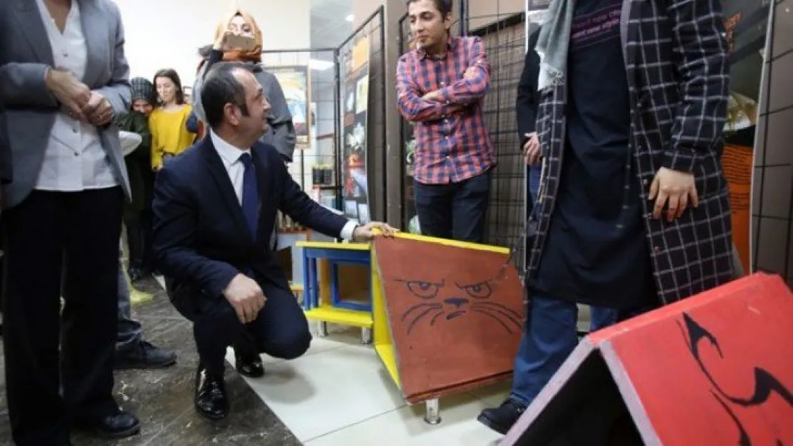 Sokak hayvanları için yuva tasarladılar