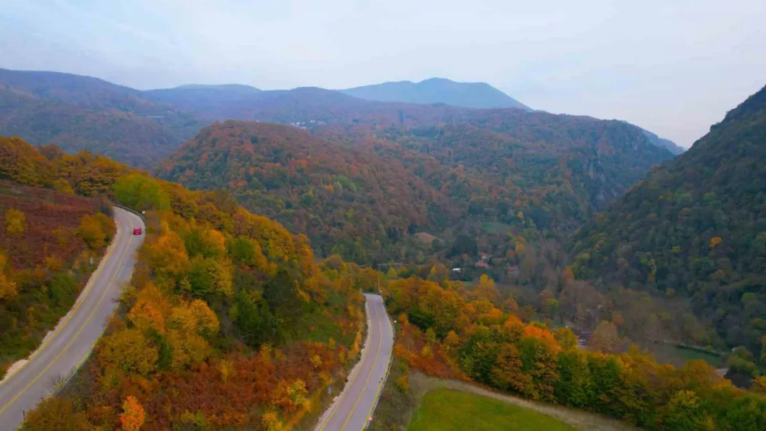 Sonbahar geldi, ormanlar tabloya döndü