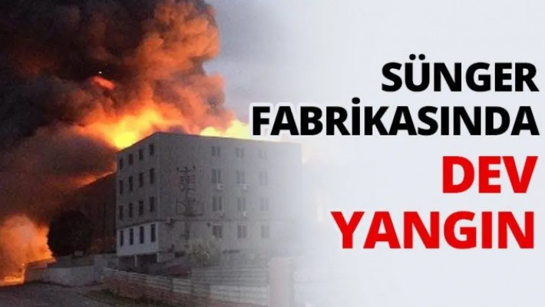 Sünger Fabrikasında dev yangın