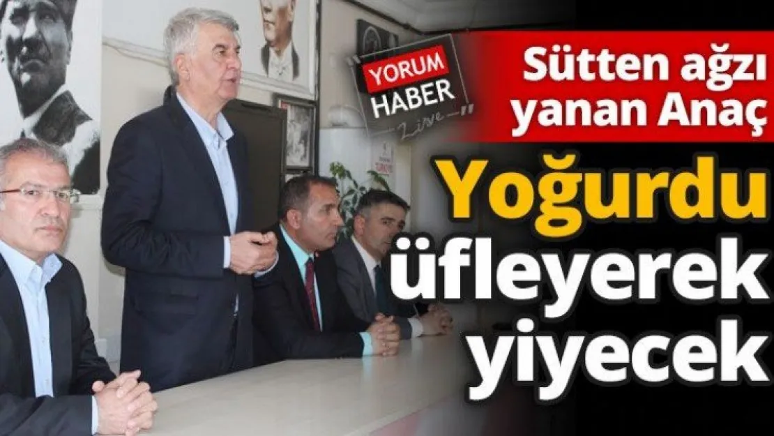 Sütten ağzı yanan Anaç yoğurdu üfleyerek yiyecek