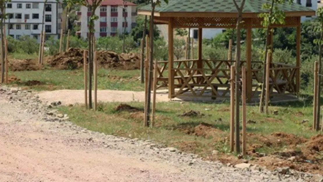 Tatlıkuyu Vadisi 2. etabına binlerce ağaç dikildi