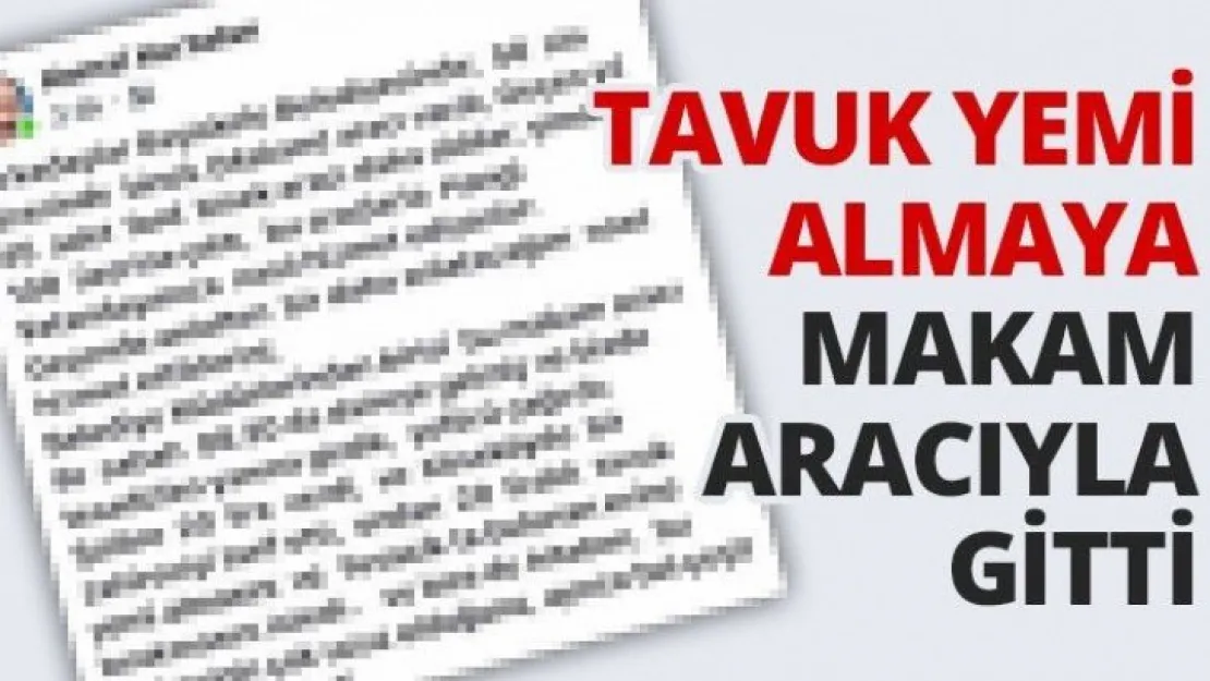 Tavuk yemi almaya makam aracıyla gitti!