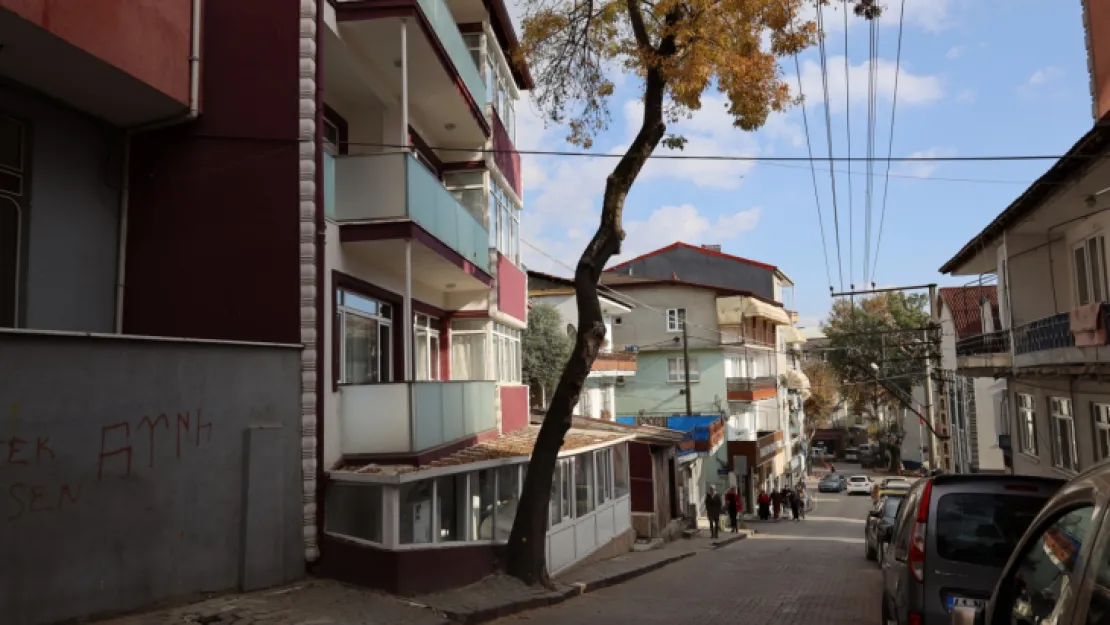  Tehlike arz eden ağaçlar için önlem alacak