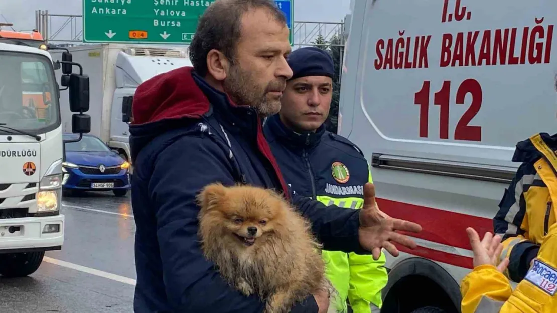 TEM'de cip istinat duvarına çarptı: Köpeğini bir an olsun bırakmadı