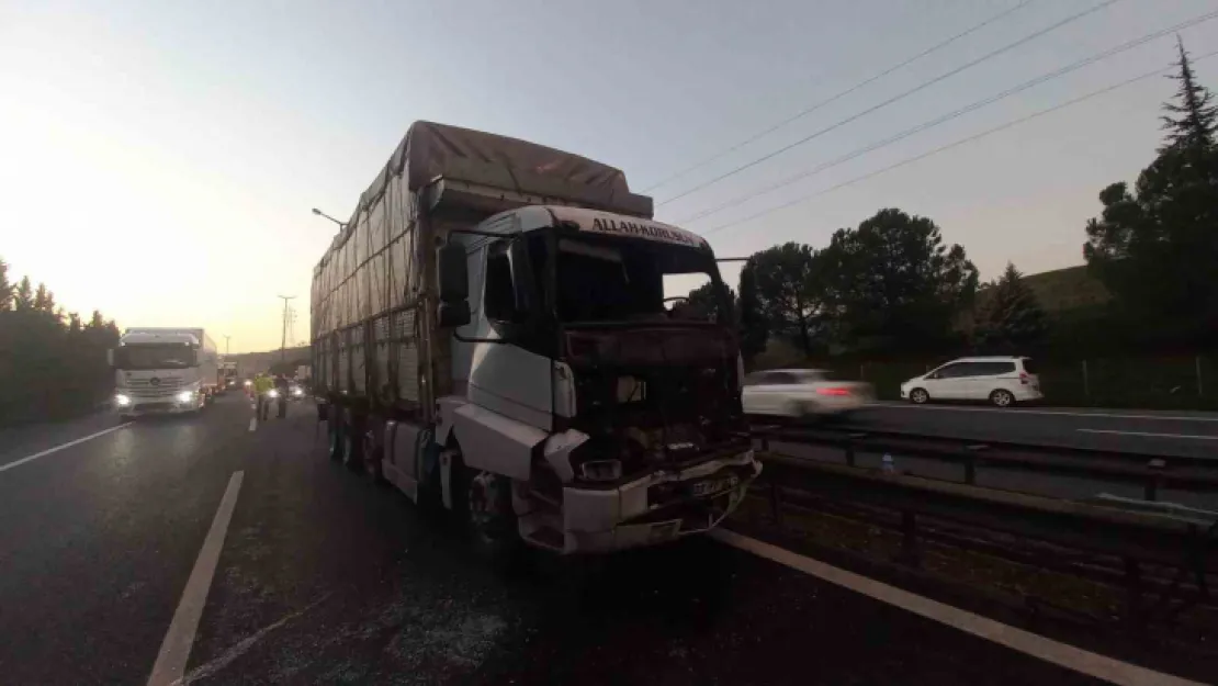 TEM'de tır ile kamyon çarpıştı: Sürücü ön camdan çıkarıldı