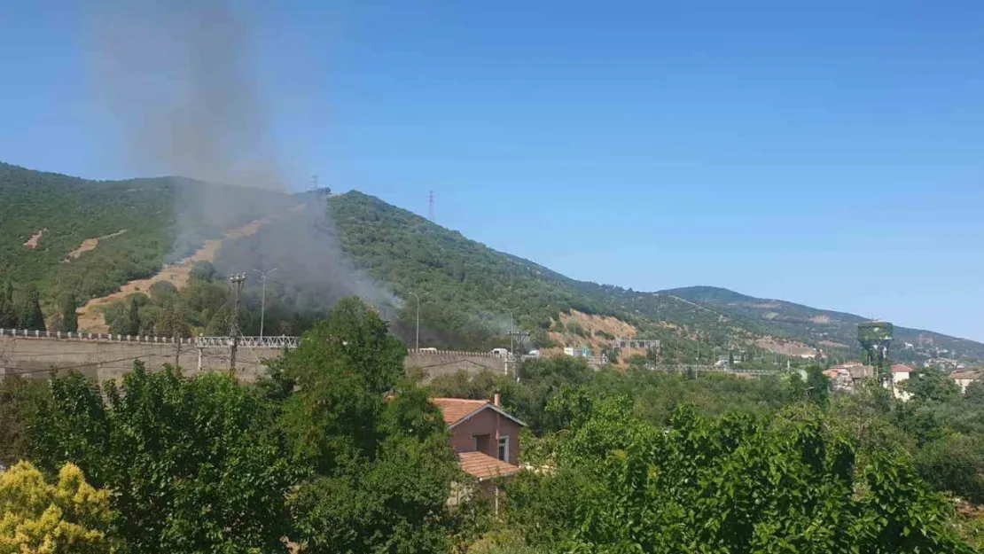 TEM Otoyolu kenarında başlayan yangın ormana sıçradı: 2 saatte söndürüldü