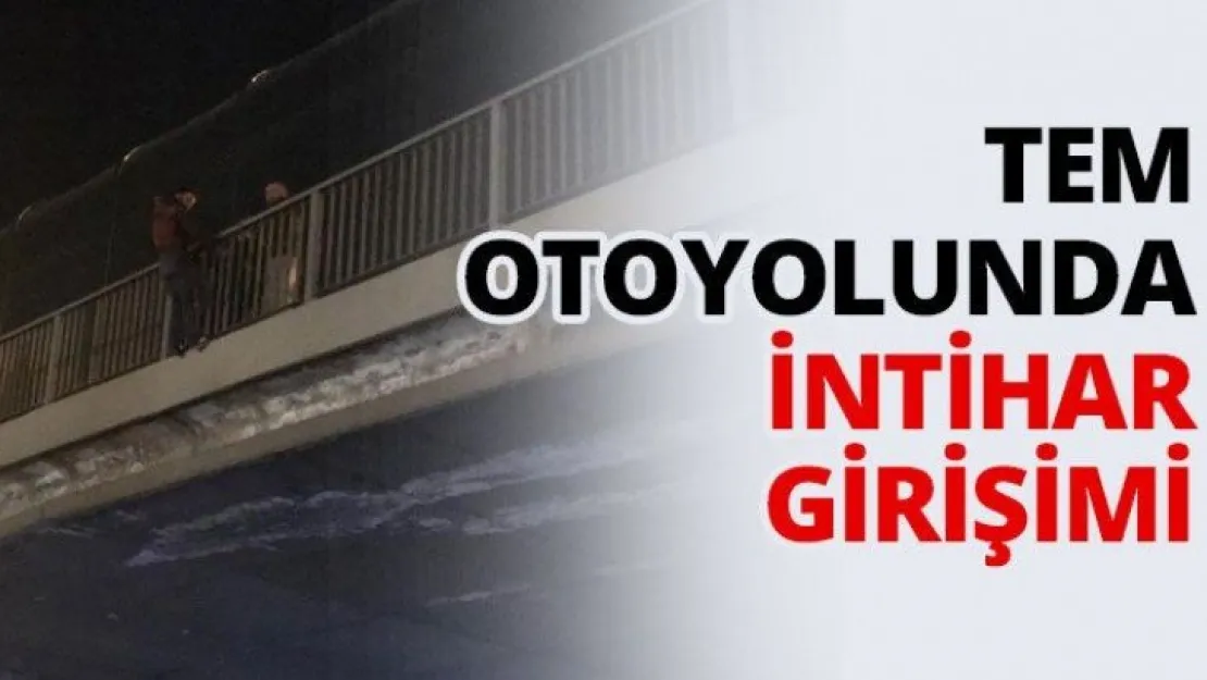 TEM otoyolunda intihar girişimi