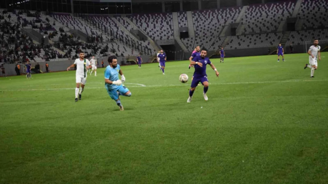Darıca Gençlerbirliği Ordu'dan puanla dönüyor: 1-1