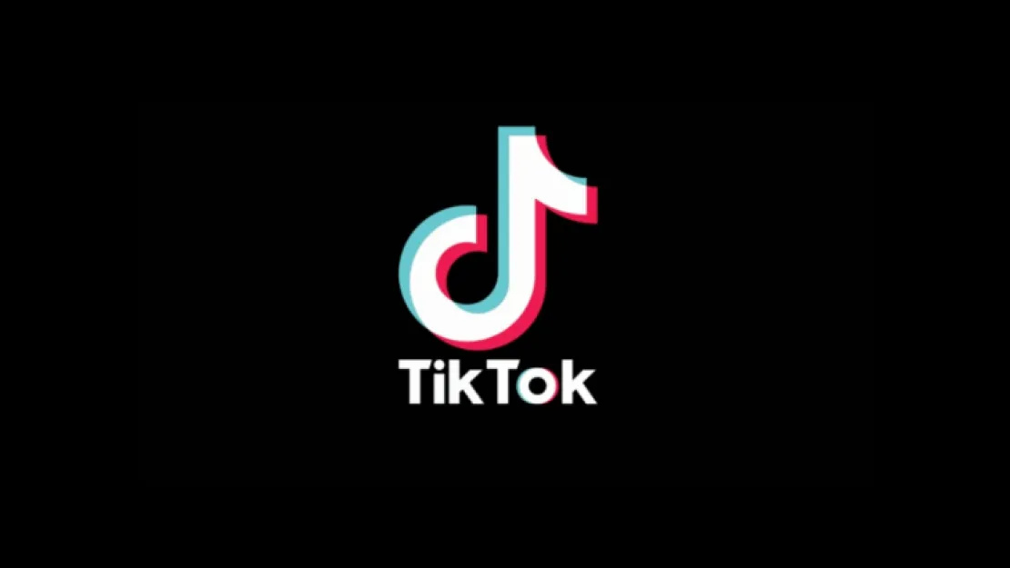 TikTok ekibi TBMM Dijital Mecralar Komisyonunda