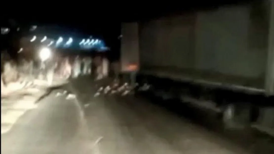 TIR sürücüsü, kaçak göçmenleri TEM kenarında bırakmış