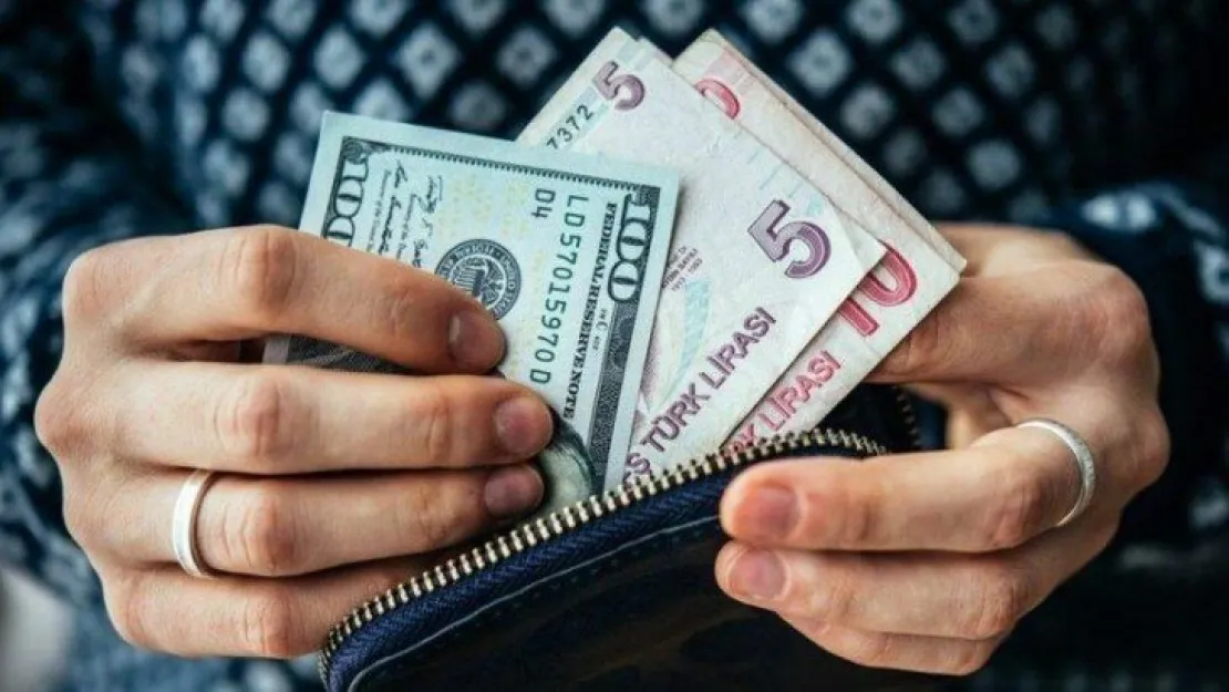TL değer kaybında açık farkla birinci oldu