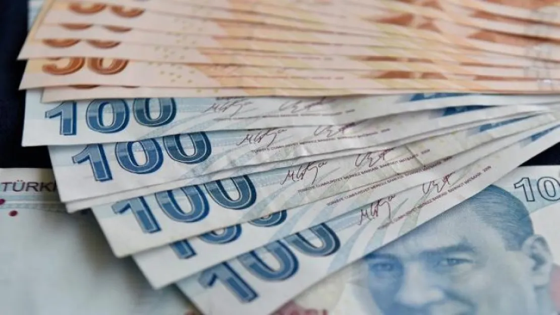 TL'nin sıkı günleri 