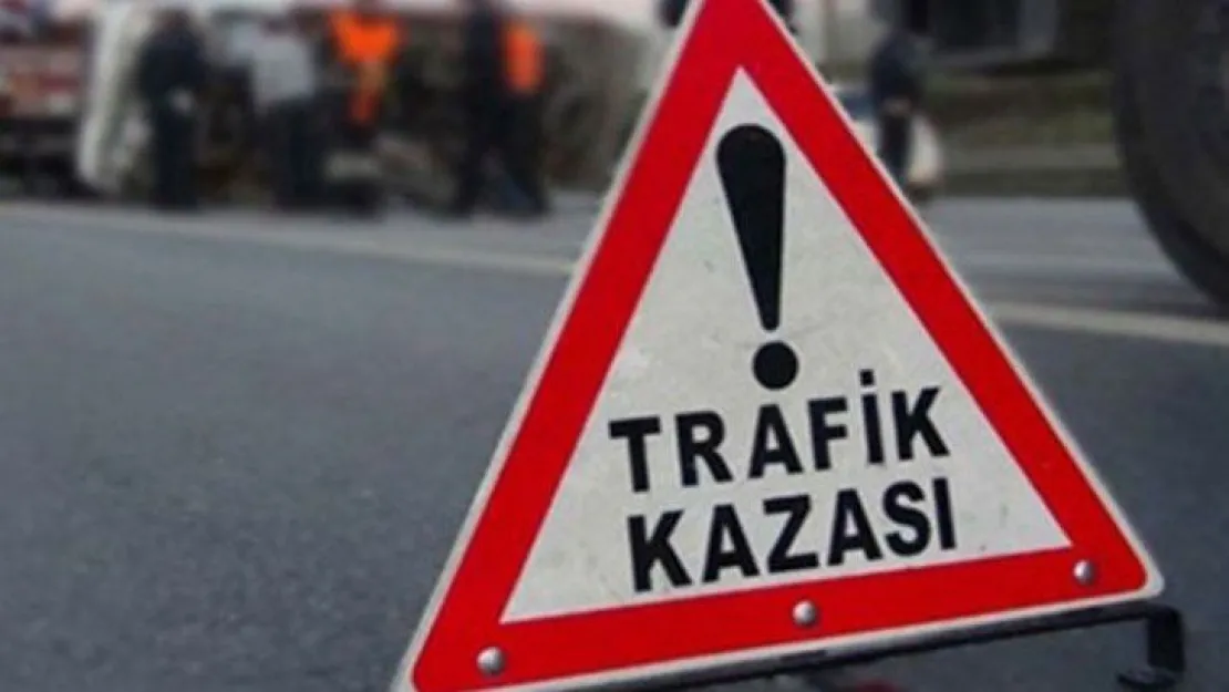 Trafik lambasına çarpıp takla attı