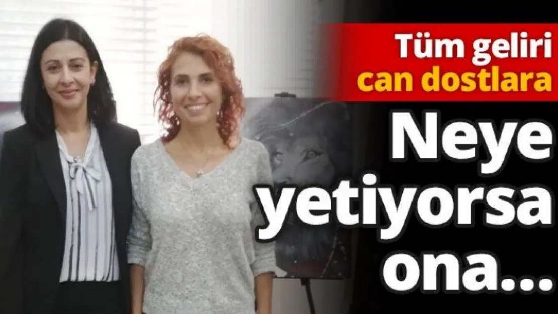 Tüm geliri can dostlara