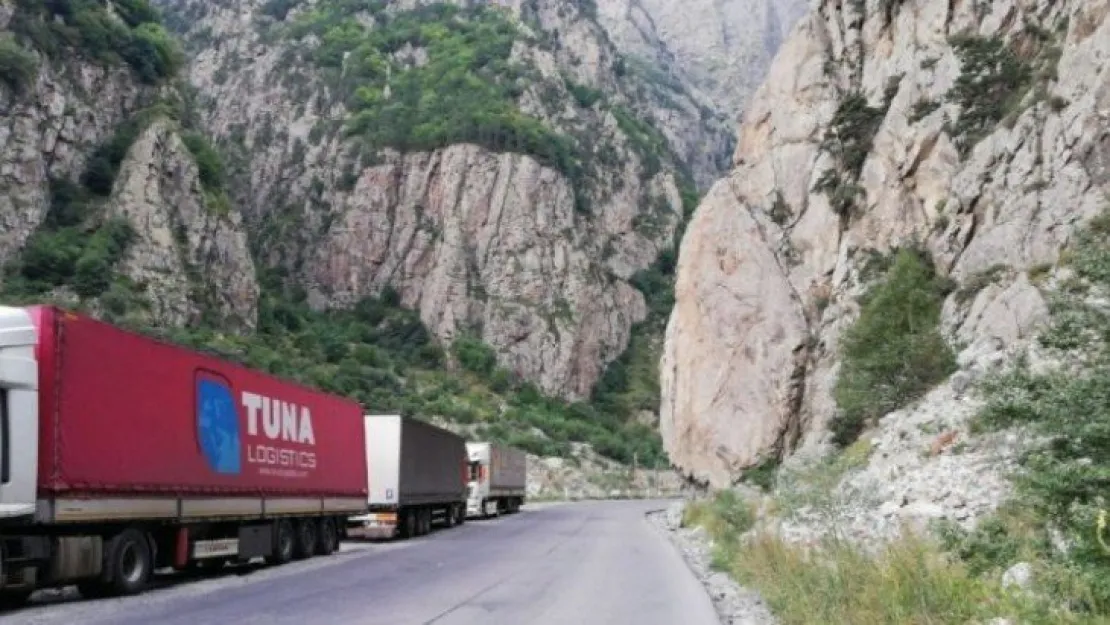 Türk şoför Gürcistan sınırında mahsur kaldı!