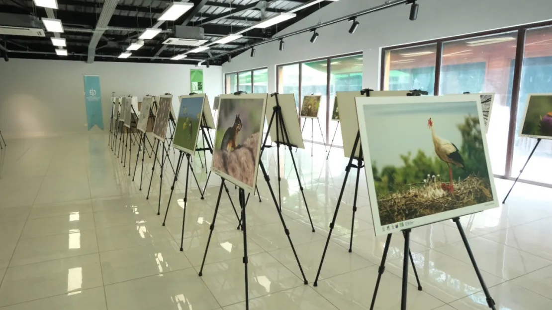 Türkiye'nin Doğası fotoğraf sergisi Ormanya'da açıldı