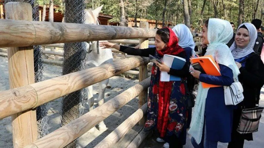 Uluslararası öğrenciler 'Gez Gör'le İzmit'i gezdi