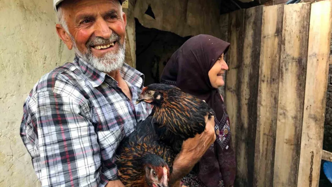 Üreticiye yüzde 50 hibeli yumurta tavuğu desteği