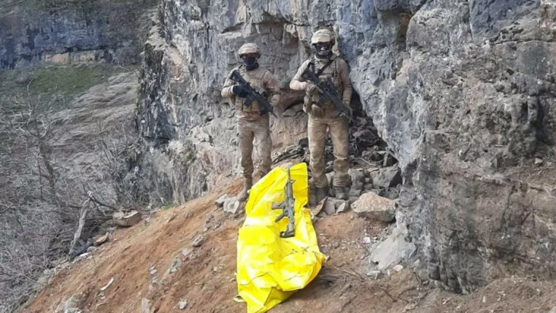 Üst düzey terörist etkisiz hale getirildi