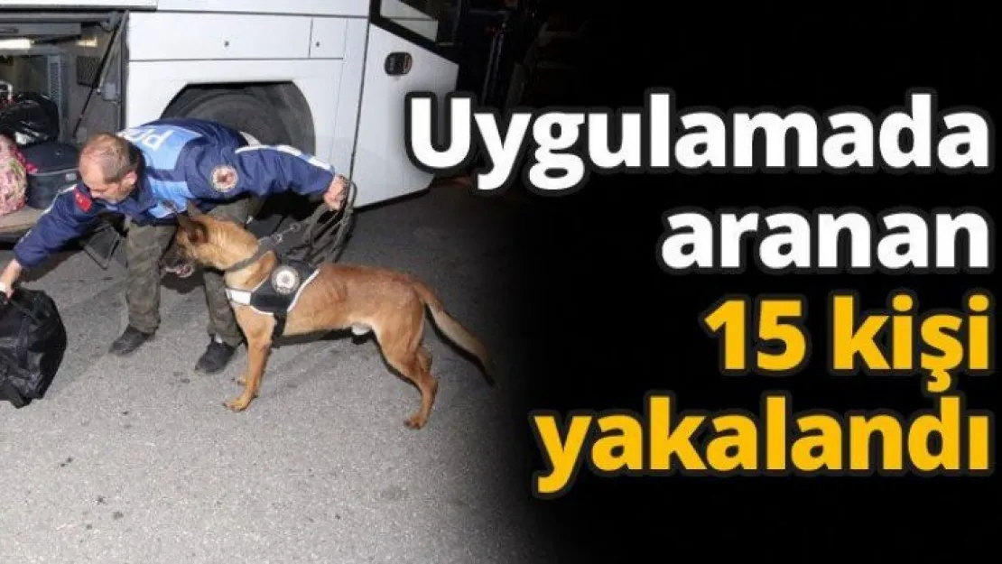 Uygulamada aranan 15 kişi yakalandı