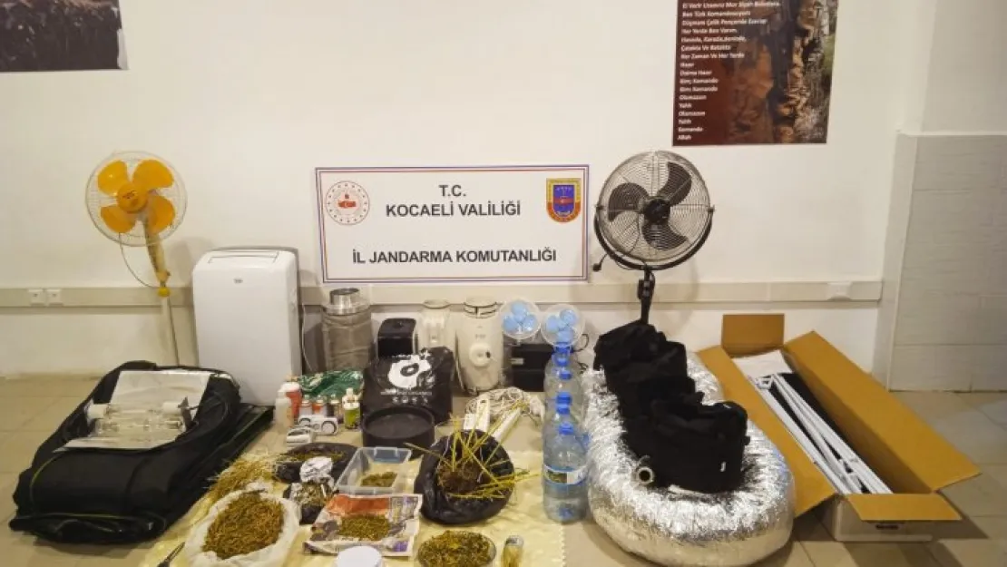 Uyuşturucu yetiştirmek için evine özel düzenek kurmuş