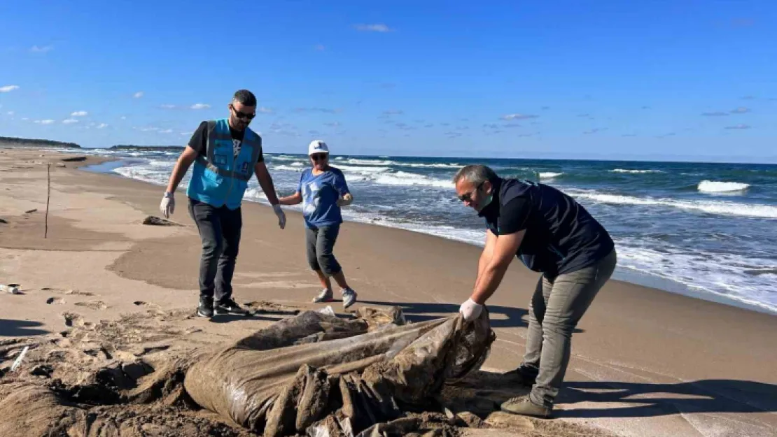 Hepsi Kocaeli'de toplandı, Tam 315 kilo, 1634 parça