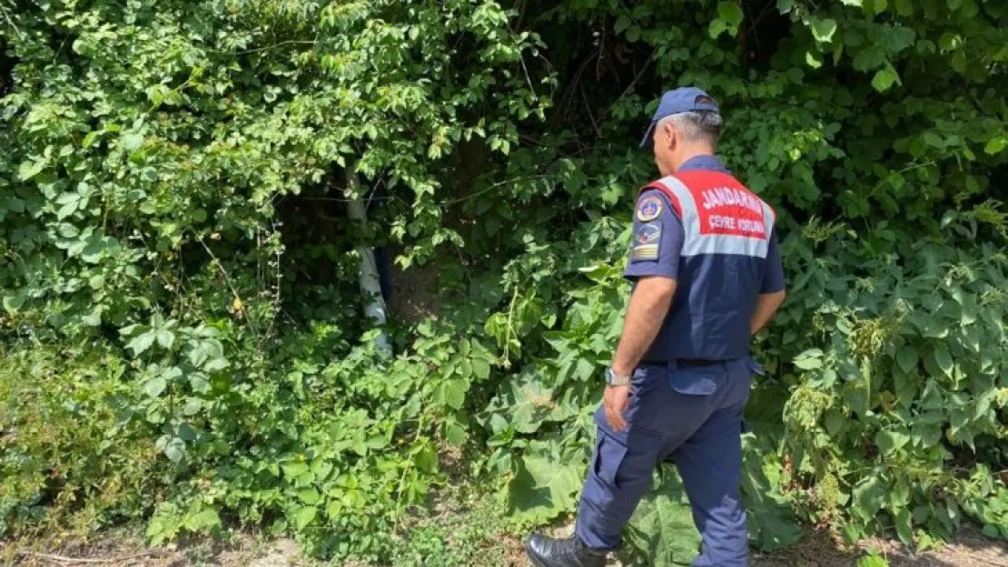 Vadi Besicilik'e jandarma baskını!