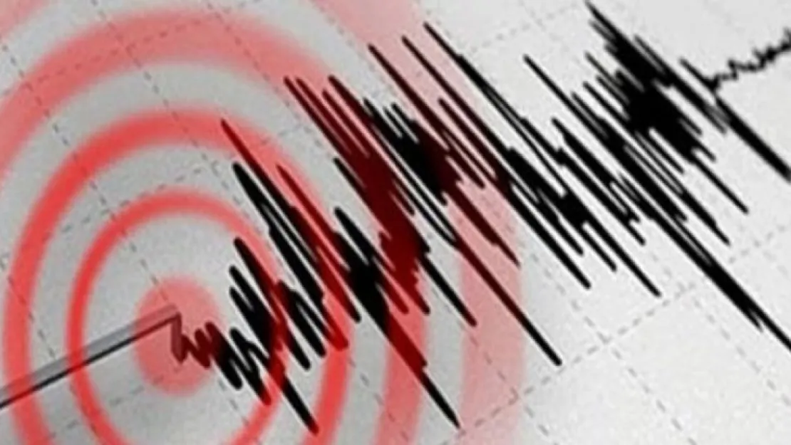 Van'da korkutan deprem