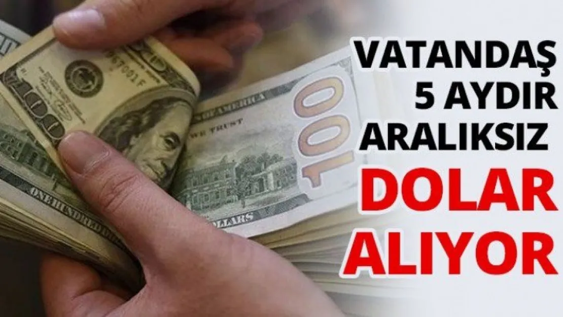 Vatandaş 5 aydır aralıksız dolar alıyor