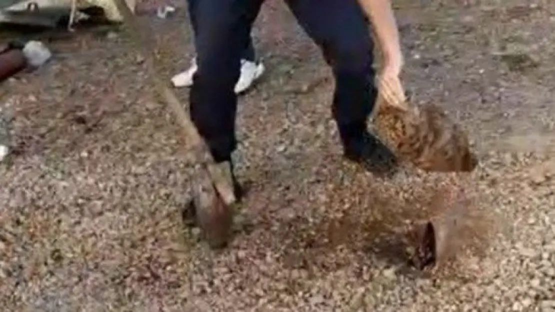 Yağmur suyu giderlerine kimyasal atık atarken yakaladı